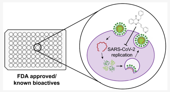Screening our FDA-Approved and Bioactive Compounds Library for Antiviral Activity against SARS-CoV‑2